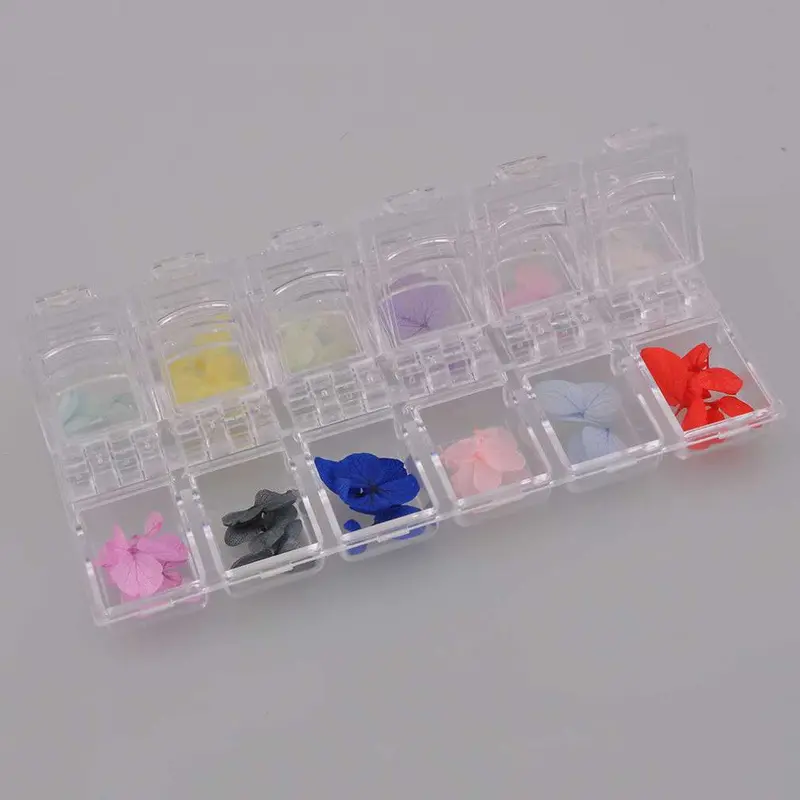 12 Colorsset 3D Nail Art Dried Flower Diy Preserved Flower Charms Design Diy Decoration Icure Tips 1