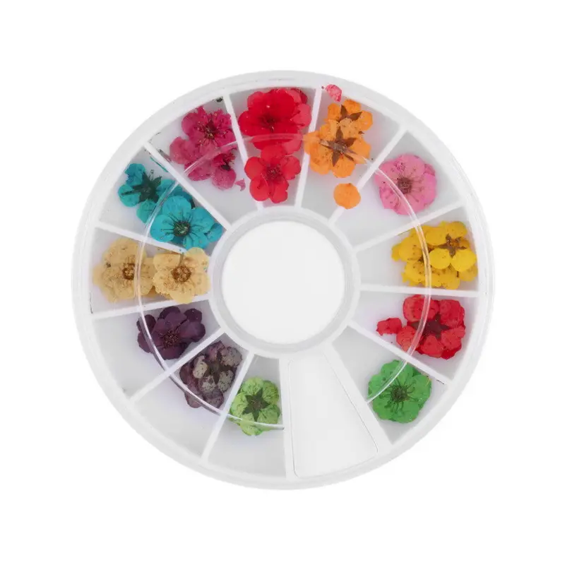 3D Dried Flower Acrylic Uv Gel Nail Art Design Tips Decoration Wheel Diy 1