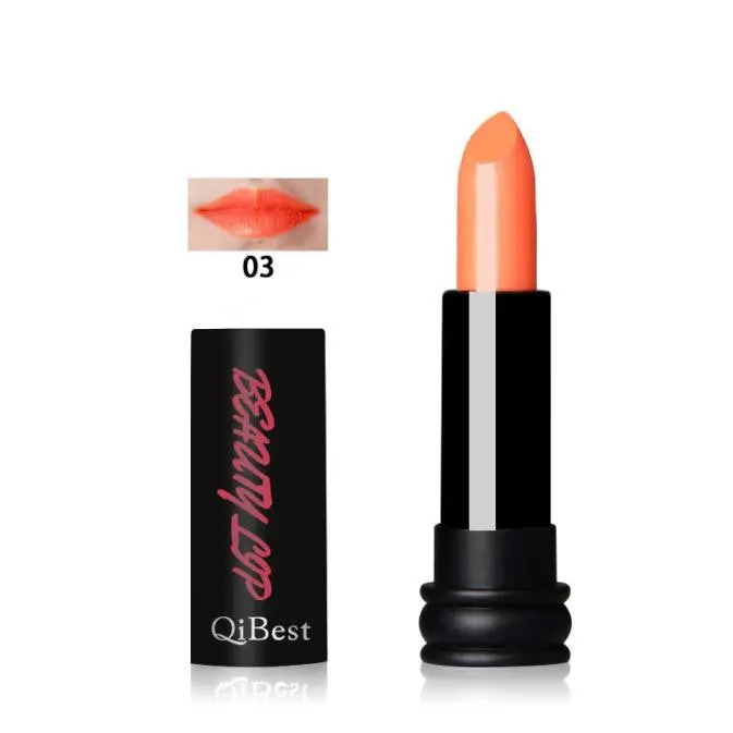 48 Colors Waterproof Long Lasting Nude Matte Vampire Style Cosmetics Makeup Lipstick Lipgloss Lip Gloss Lips Makeup 1