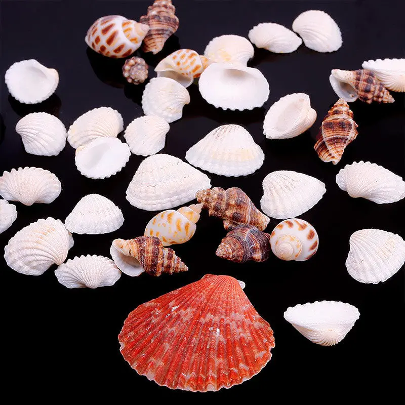 Beautiful Approx 100G Beach Mixed Seashells Mix Sea Shells Shell Craft Seashells Aquarium 67179 1