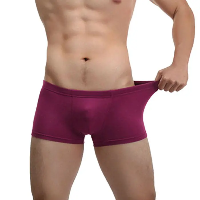 Calzoncillos Men's Boxer Sexy Underwear Men Boxers Shorts Bulge Pouch Soft Underpants 10