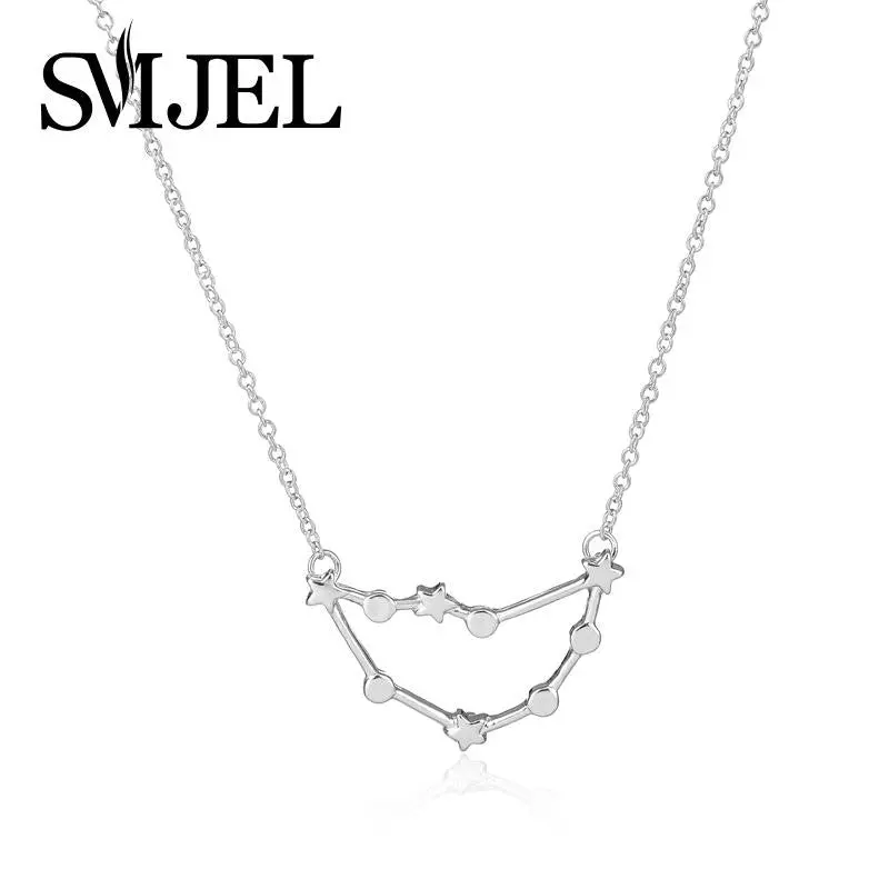 Capricorn Zodiac Sign Astrology Necklace Constellation Necklace December, January Birthday Necklace N177 1