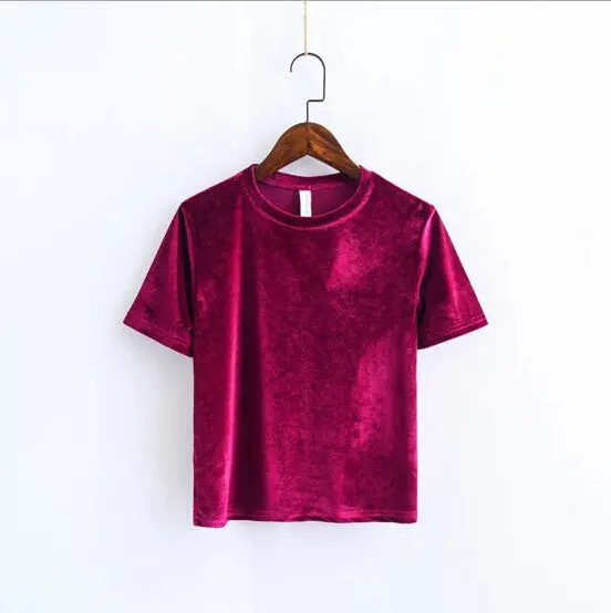 Chic Back Slit Short Sleeve Velour T Shirt Woman Solid Color O Neck Velvet Tee Tops 7 Color 11