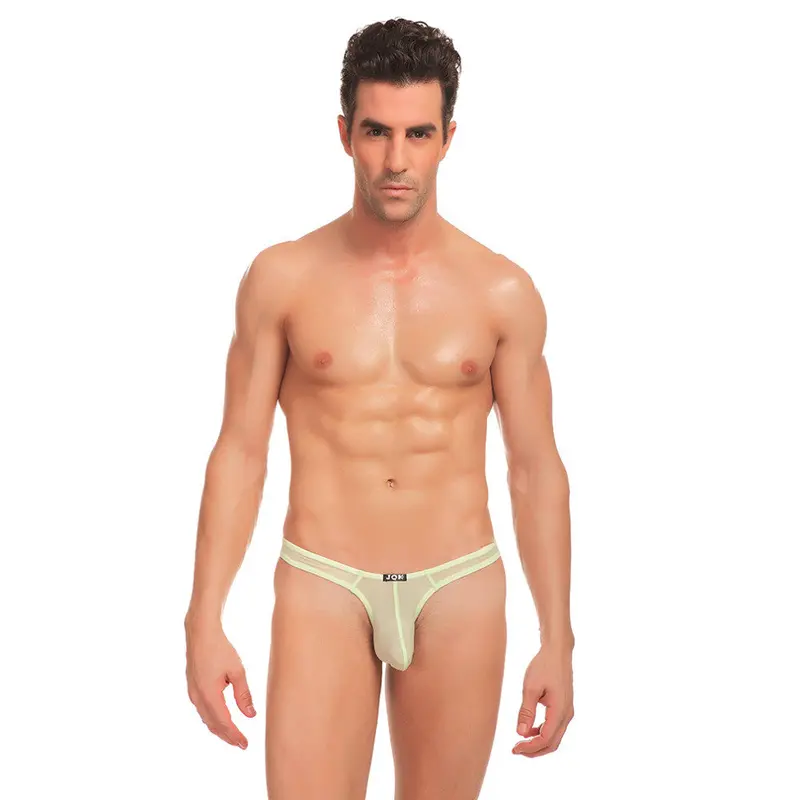 Cool Sexy 5 Colorsultra-Thin Stretch Thongs Underwear Triangle Briefs Swimwear 10
