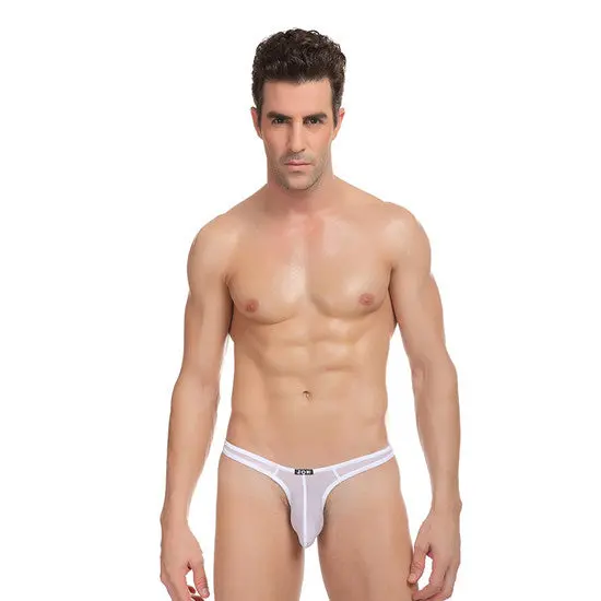 Cool Sexy 5 Colorsultra-Thin Stretch Thongs Underwear Triangle Briefs Swimwear 4