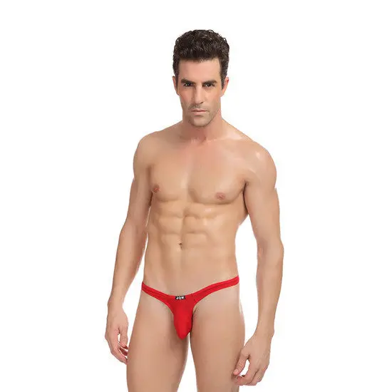 Cool Sexy 5 Colorsultra-Thin Stretch Thongs Underwear Triangle Briefs Swimwear 7