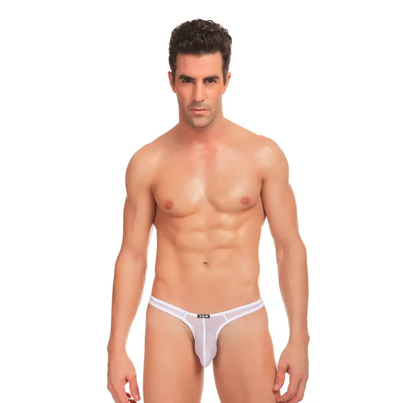 Cool Sexy 5 Colorsultra-Thin Stretch Thongs Underwear Triangle Briefs Swimwear 8