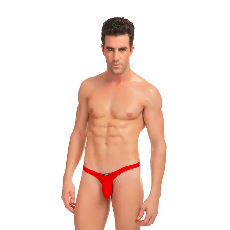 Cool Sexy 5 Colorsultra-Thin Stretch Thongs Underwear Triangle Briefs Swimwear 9