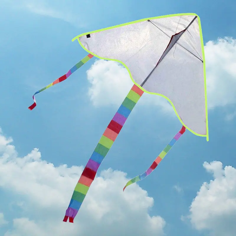 Diy Kite Painting Out Hle Line Outdoor Toys Flying Papalote Toy Kite Nylon Ripstop Fabric Kite Cheap 1