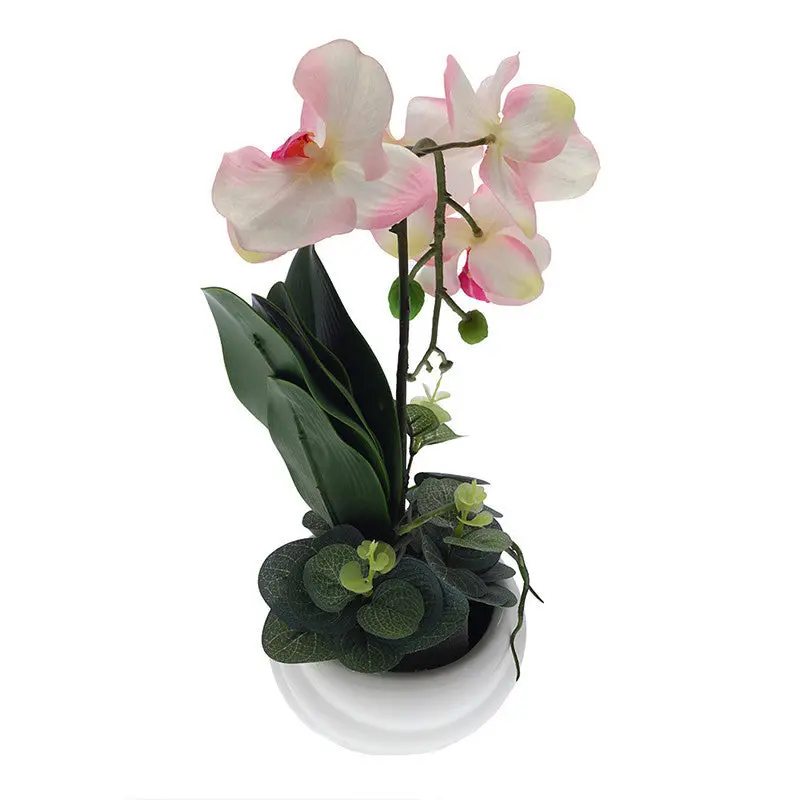 Flowers Outdoor Garden Bonsai Seeds Blooming Flower Pot Home Office Desk 90001 1
