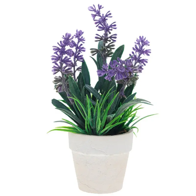Flowers Outdoor Garden Bonsai Seeds Blooming Flower Pot Home Office Desk 90001 10