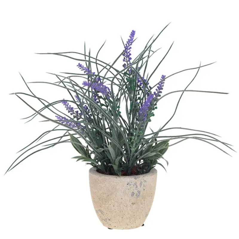 Flowers Outdoor Garden Bonsai Seeds Blooming Flower Pot Home Office Desk 90001 11
