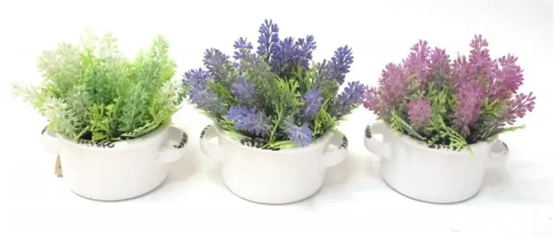 Flowers Outdoor Garden Bonsai Seeds Blooming Flower Pot Home Office Desk 90001 13