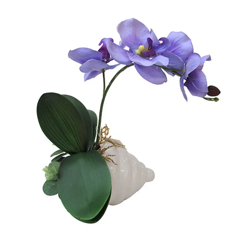 Flowers Outdoor Garden Bonsai Seeds Blooming Flower Pot Home Office Desk 90001 2