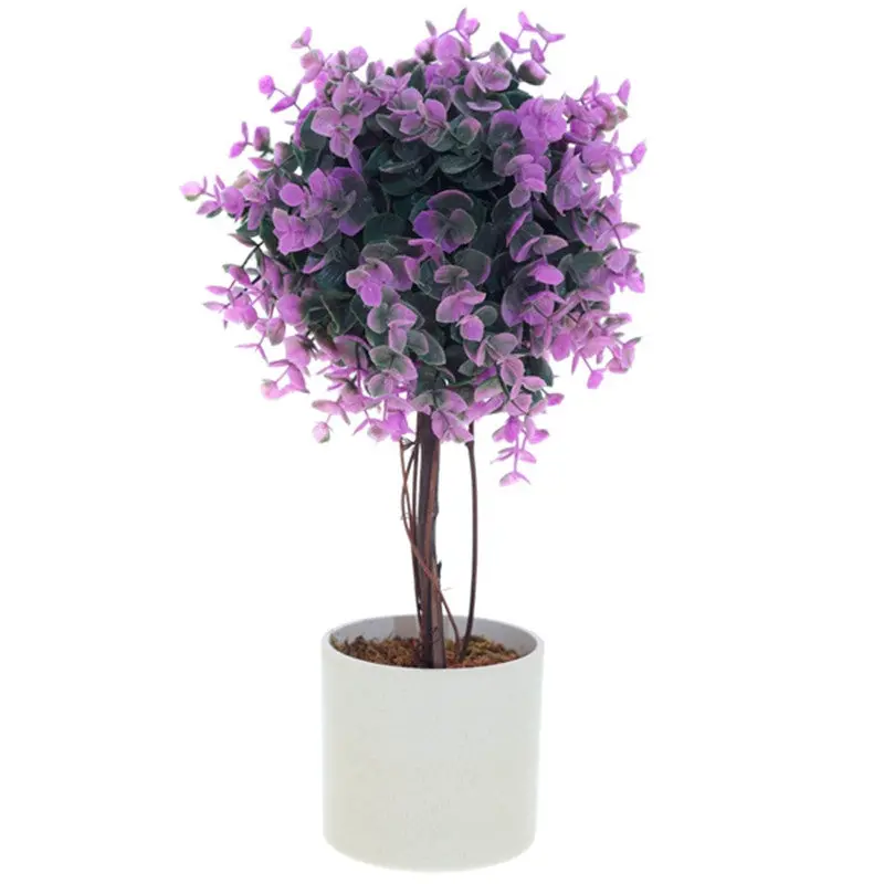 Flowers Outdoor Garden Bonsai Seeds Blooming Flower Pot Home Office Desk 90001 4