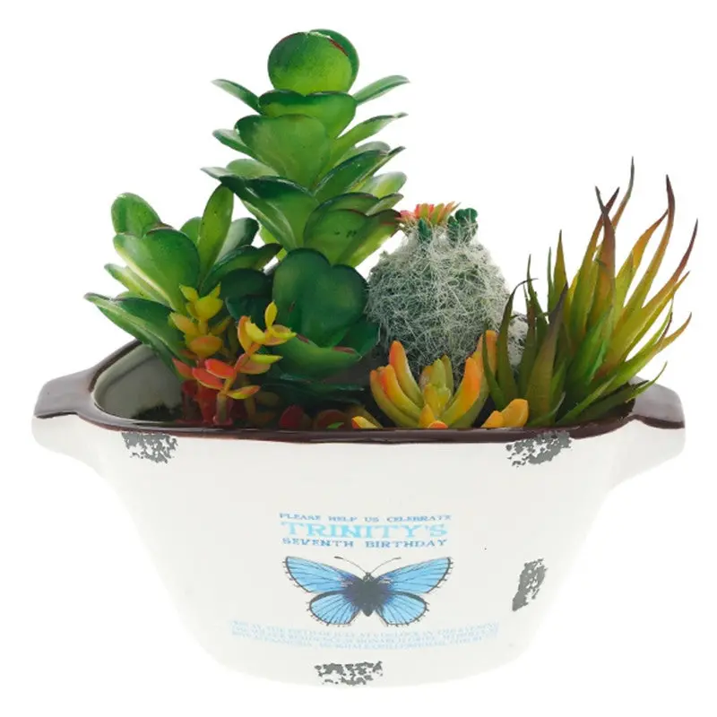 Flowers Outdoor Garden Bonsai Seeds Blooming Flower Pot Home Office Desk 90001 6