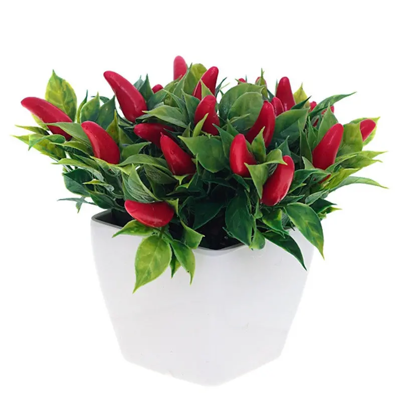 Flowers Outdoor Garden Bonsai Seeds Blooming Flower Pot Home Office Desk 90001 8