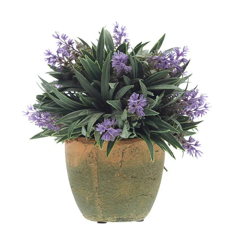Flowers Outdoor Garden Bonsai Seeds Blooming Flower Pot Home Office Desk 90001 9