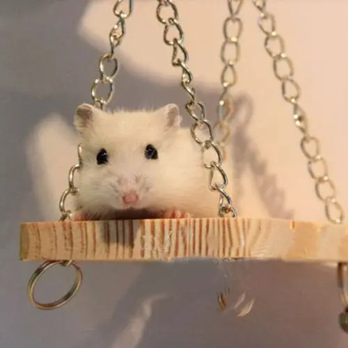 Home Useful Wooden Bells Swing Suspension Poppled Hanging Ladder Mouse Parrot Hamster Toys46665 1