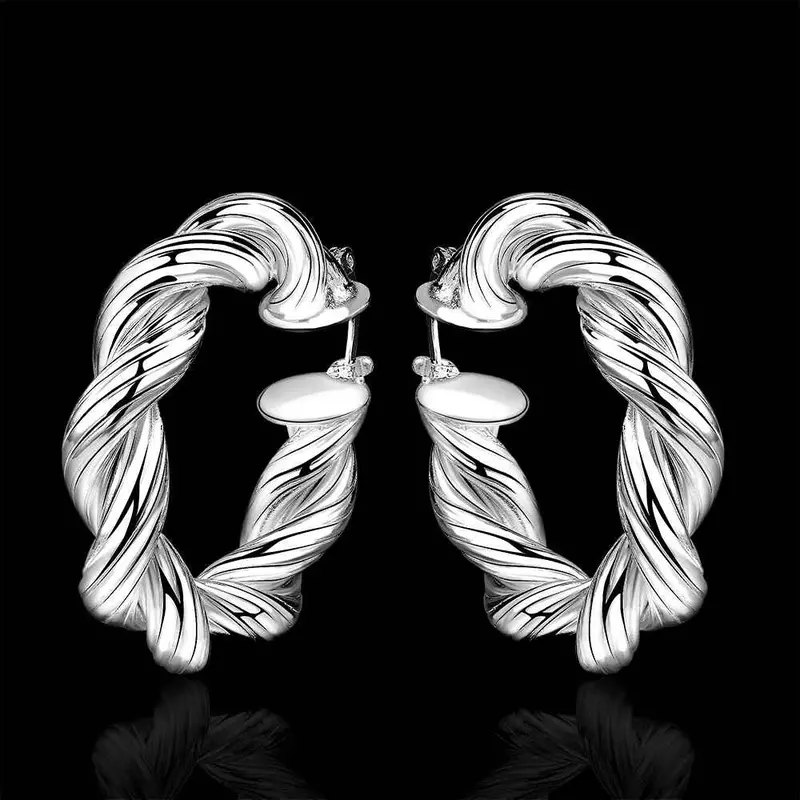 Jewelry Women's Silver Plated Small Twisted Rope Hoop Earings Bijoux Earrings For Wedding 593 2