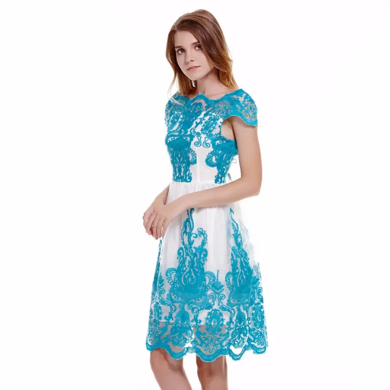 Lace O-Neck Waisted Dinner Dress Vestido De Festa Dress Vestido De Renda Party Lace Ball Gown Women Dress 1