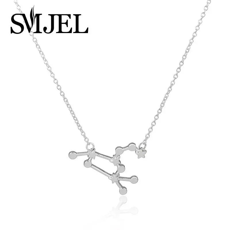 Leo Zodiac Sign Astrology Necklace Constellation Star Sign Personalized Long Necklace Birthday Gifts N157 1