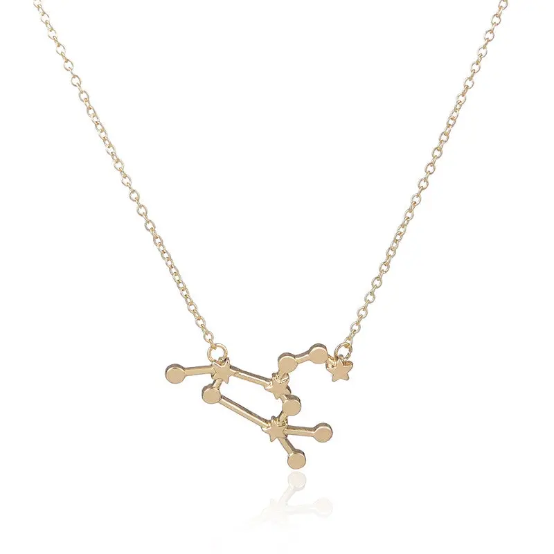 Leo Zodiac Sign Astrology Necklace Constellation Star Sign Personalized Long Necklace Birthday Gifts N157 2