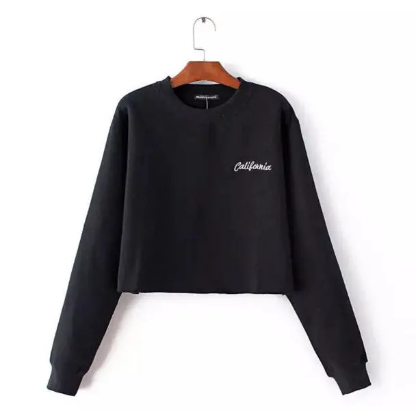 Letter Embroidery Hoodies Sweatshirts Harajuku Crew Neck Sweats Women Clothing Feminina Loose Short Fleece Jumper Sweats 1