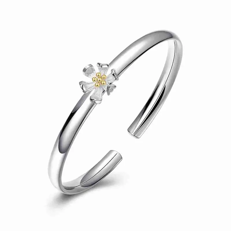 Luxurio 925 Silver Jewelry Friendship Bangle Hanging Crown Women Bracelet Love Hbb 8 3