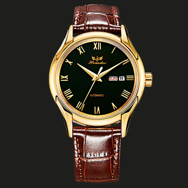 Luxury Watch Relogio Masculino Men Leather Band Mechanical Watch Wrist Watch Feida 1