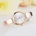 Lvpai Watches Gold Silver Women Bracelet Dress Quartz Clock Stainless Steel Band Gift Relogio Feminino 1