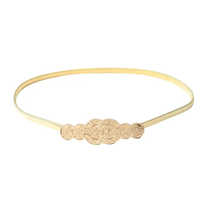 Metal Coin Buckle Thin Gold Leather Belt For Women Ceinture Femme Belt Casual Brand Designer Belts 1