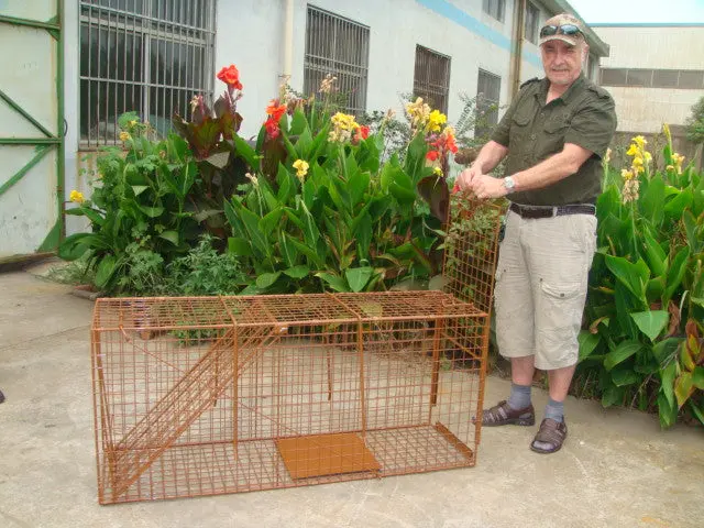 Pallet Of 25 Coyote / Bobcat Box Traps 1