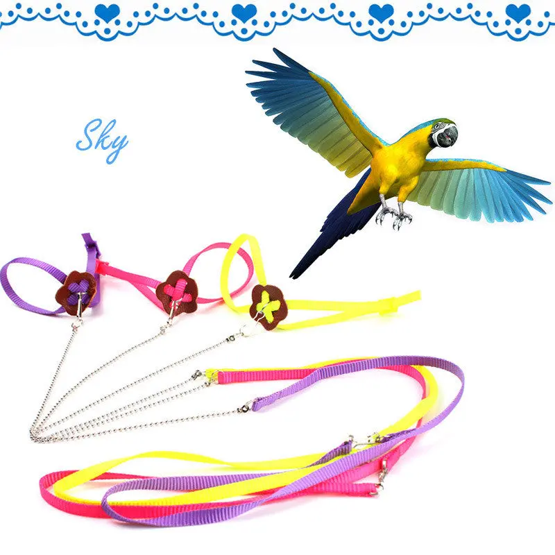 Random Color Great Parrot Bird Harness Leash Adjustable Light Soft 66982 1
