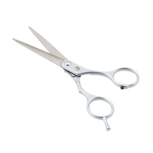 Salon Scissors Hair Cut Cutting Hairdressing Barber Shears Clipper Thinning Est 1