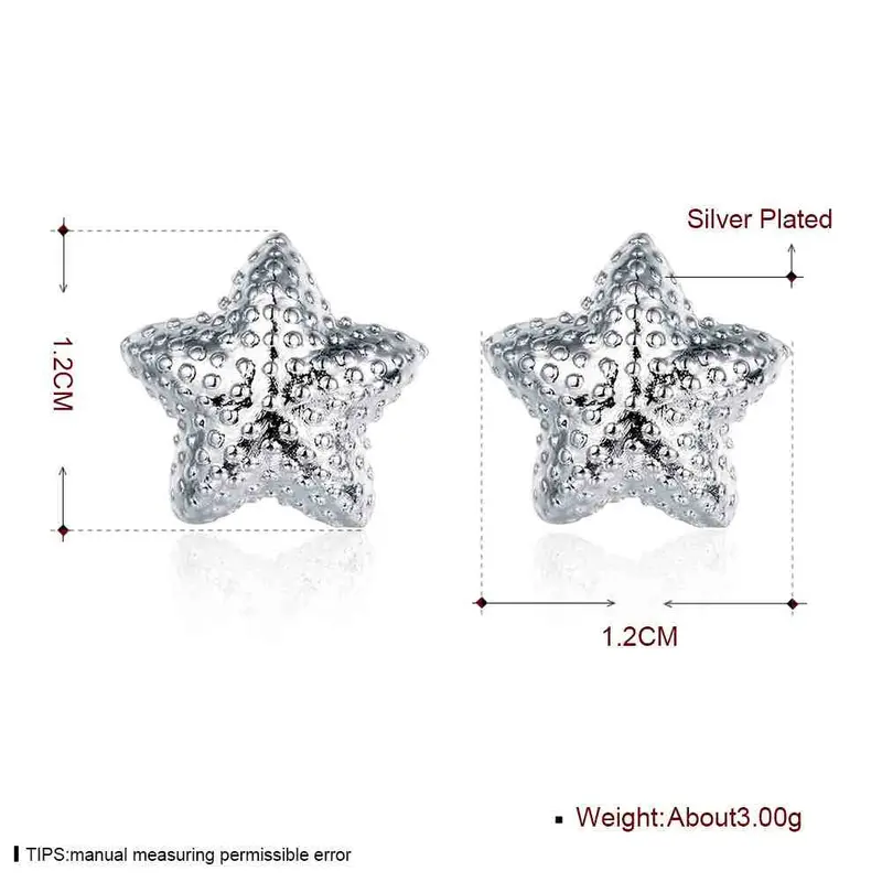 Silver Earings Jewelry Frosted Star Stud Brincos Gift For Her 32 2