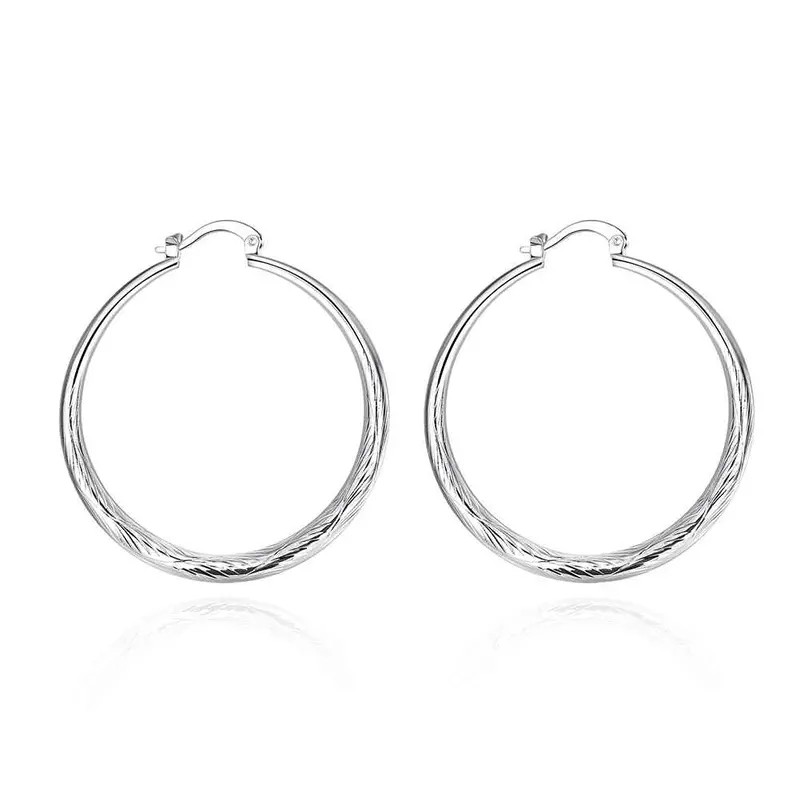 Silver Plated Earing Silver Plated Jewelry Scales Earting 292 1