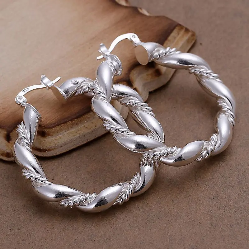 Silver Plated Earing Silver Plated Jewelry Twisted Rope Earrings 156 1