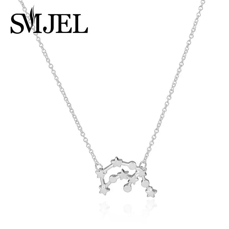 Simple Silver Aquarius Zodiac Sign Astrology Necklace Birthday Gifts N165 1