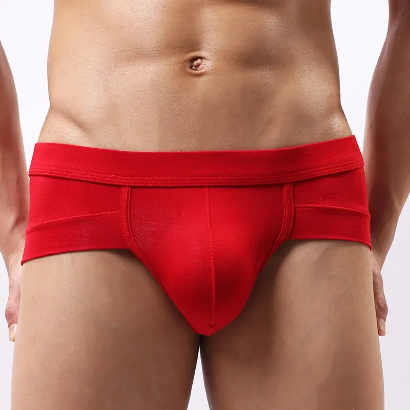Trunks Sexy Men's Underwear Briefs Shorts Bulge Pouch Softunderpants Man Underwear 1