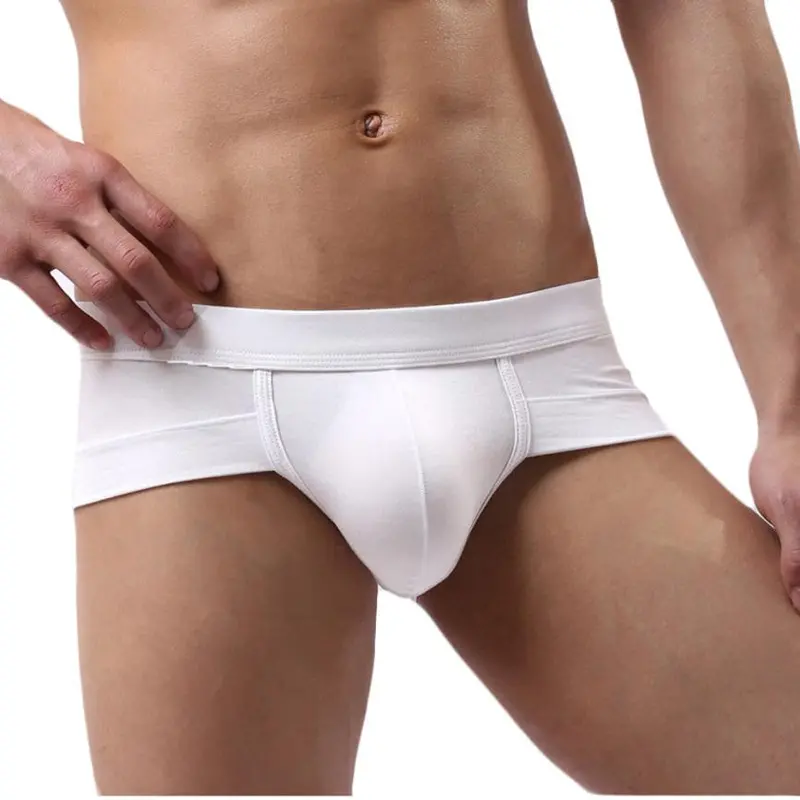 Trunks Sexy Men's Underwear Briefs Shorts Bulge Pouch Softunderpants Man Underwear 15