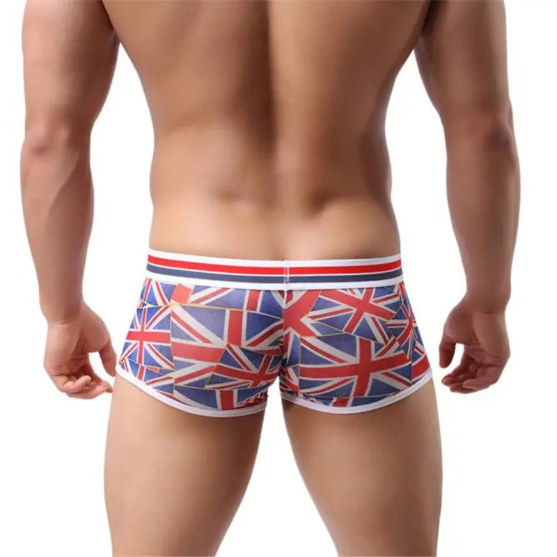 Underwear Men Sexy Low Waist Translucent Boxers Breathable Underpants 1
