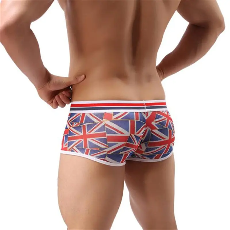 Underwear Men Sexy Low Waist Translucent Boxers Breathable Underpants 2