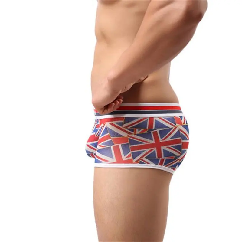 Underwear Men Sexy Low Waist Translucent Boxers Breathable Underpants 3