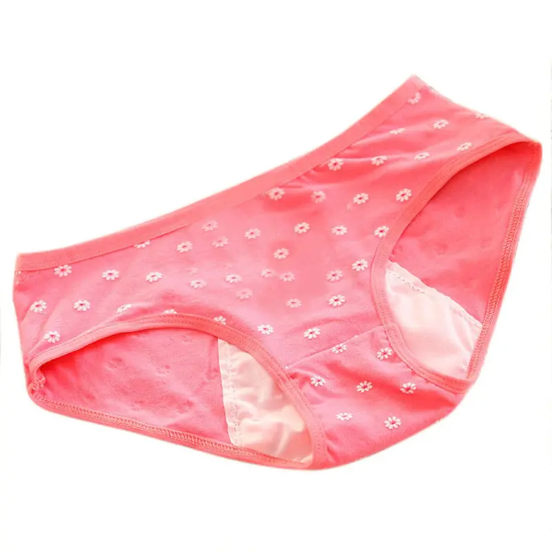 Women Underwear Briefs Cotton Women's Panties Underpants For Sale 1